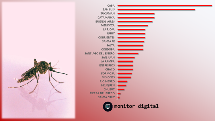 La preocupación digital por el dengue se toma una pausa (pero promete rebotar con fuerza)